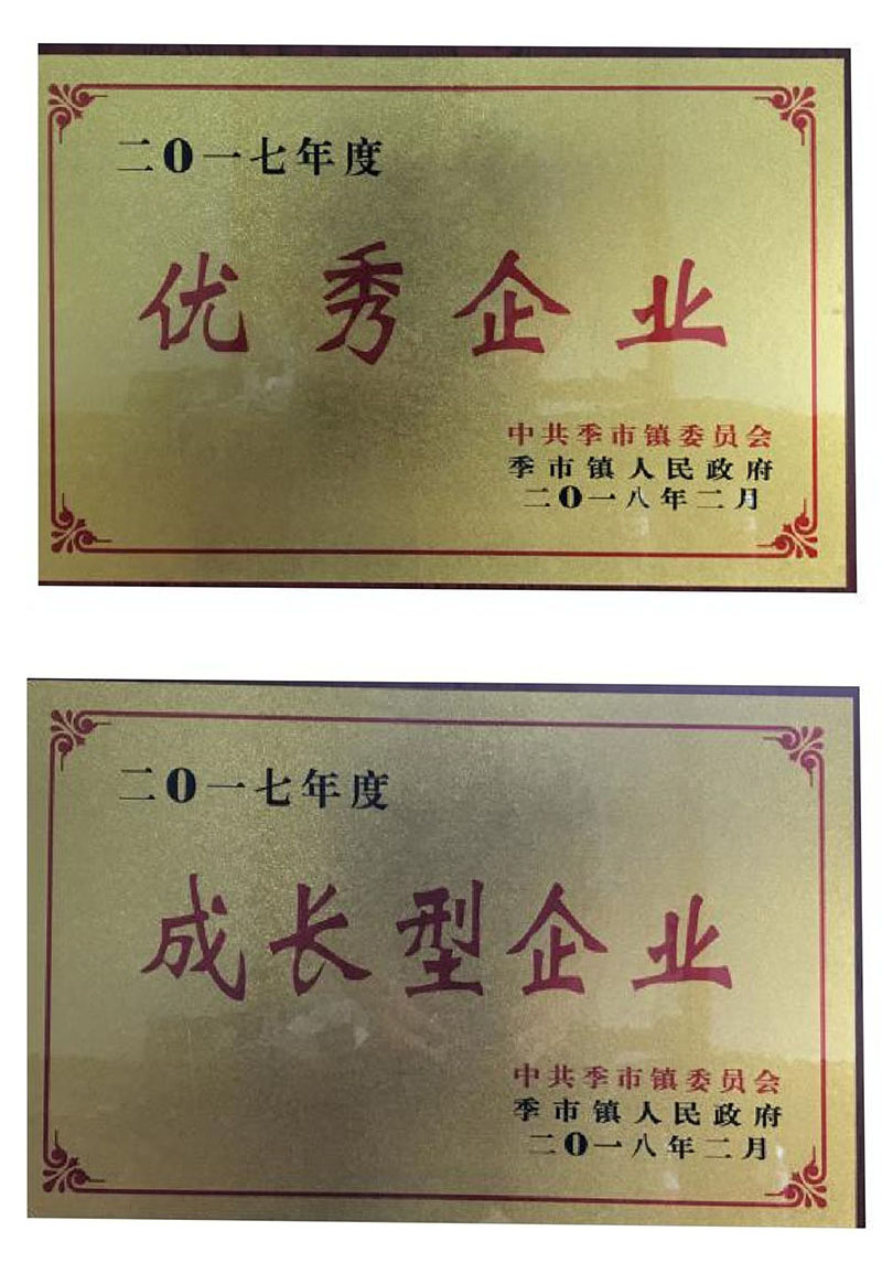 成长型企业